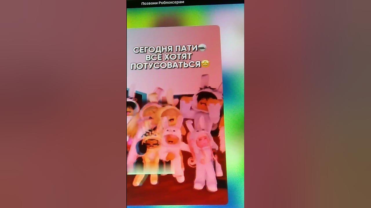 тусовка зайцев 😆 - YouTube