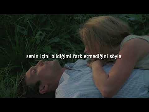 rainbow kitten surprise - first class (türkçe çeviri)