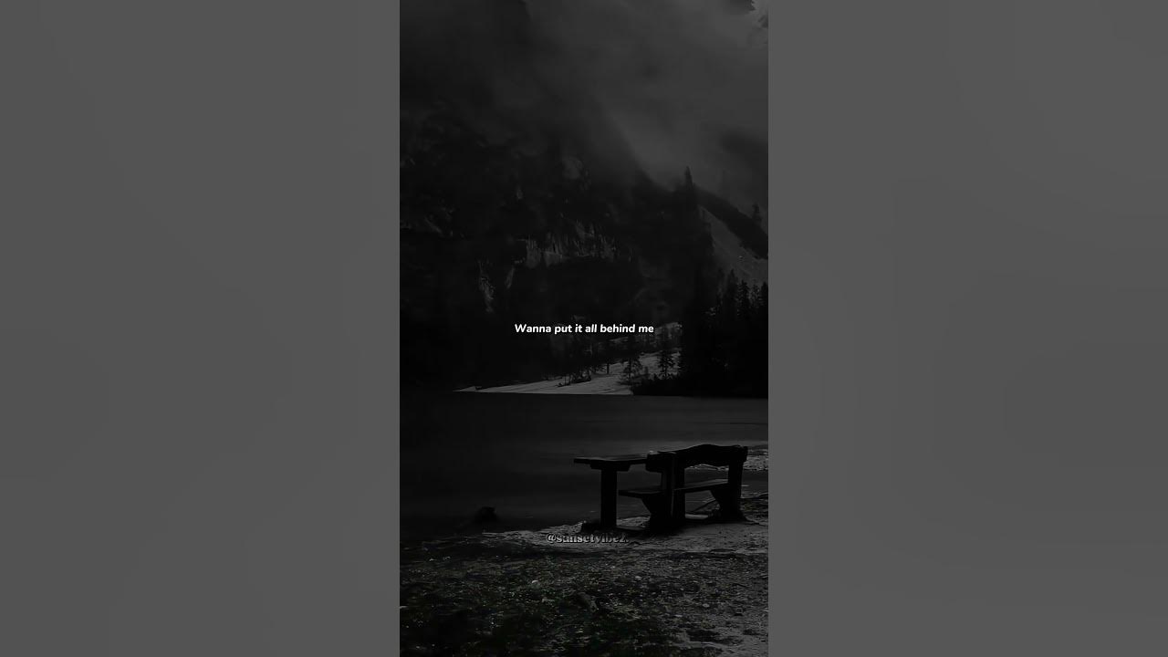 Billie Eilish - WILDFLOWER #aesthetic #lyrics #shorts