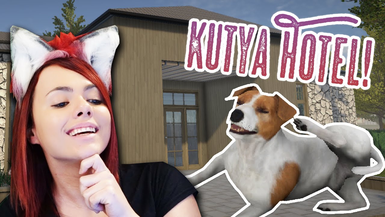 KUTYA JÓ HOTEL! 🐶