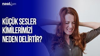 Küçük Sesler Kimilerimizi Neden Delirtir?