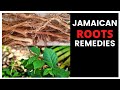 Jamaican roots remedies and how they are used