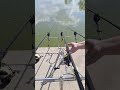 Feeding and Instant Carp Strike 🤟🏽#fishing #shorts #pecanje