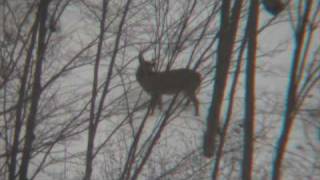 Long Range Hunting  PA Style