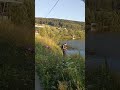 с днем рыбака,с праздником мужчины #лето #рыбалка #урал #куса