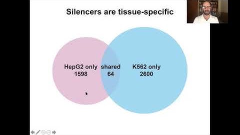 Mike Snyder: Noncoding regions in cancer and silencers