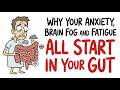 Why Your Anxiety, Brain Fog and Fatigue All Start In Your Gut