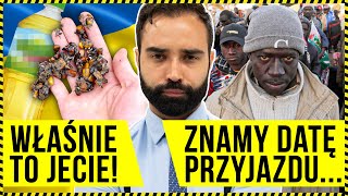 UWAŻAJ NA TE PRODUKTY! NIEDŁUGO DO POLSKI PRZYJADĄ PIERWSI IMIGRANCI