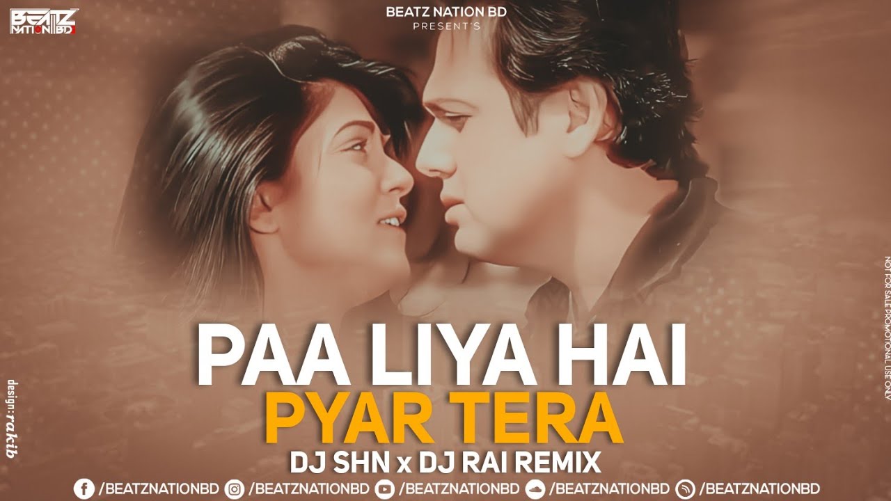Paa Liya Hain Pyar Tera (Remix) DJ SHN x Dj RAI | Govinda | Sushmita Sen | Beatz Nation BD