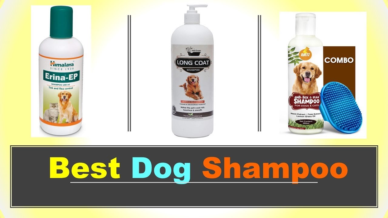 What Is A Good Brand Of Dog Shampoo