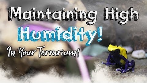 How To: Retaining Terrarium Humidity!