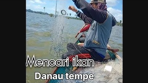 Proses mencari ikan di danau tempe, desa ujungpero