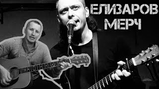 Михаил Елизаров - Мерч(кавер на гитаре)