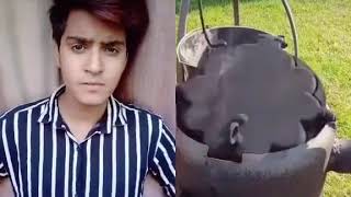 Nikita kumar(5)