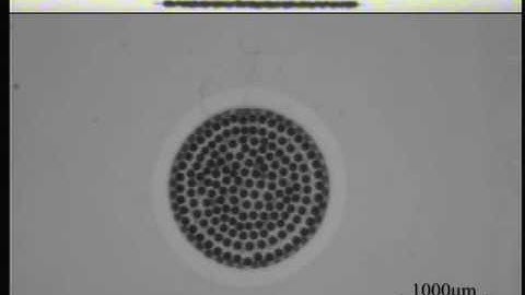 Rosensweig Instability -- Ordered Rupture of Ferrofluid Droplet