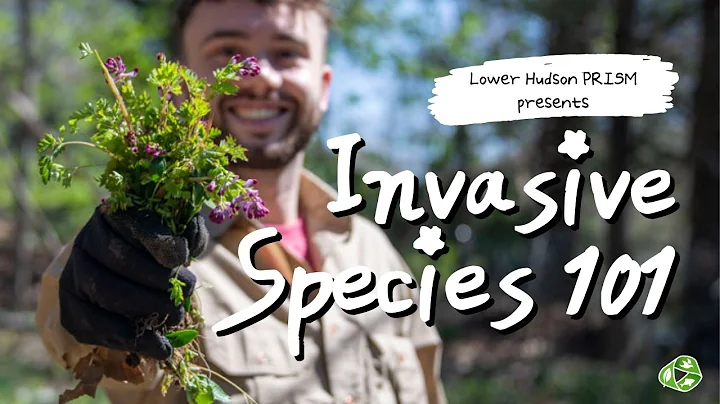 Invasive Species 101