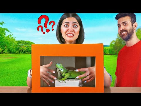 چالش حدس بزن تو جعبه چیه با حیوونای واقعی WHAT S IN THE BOX