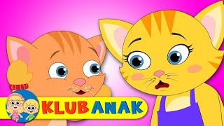 Download Lagu Klub Anak | Three Little Kittens | Tiga Anak Kucing Kecil | Lagu Anak dalam Bahasa MP3 Download Lagu Klub Anak | Three Little Kittens | Tiga Anak Kucing Kecil | Lagu Anak dalam Bahasa MP3