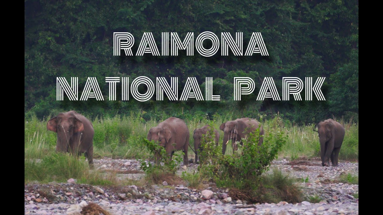 Why Raimona National Park Should Be on Your Travel List when you visit Bodoland?