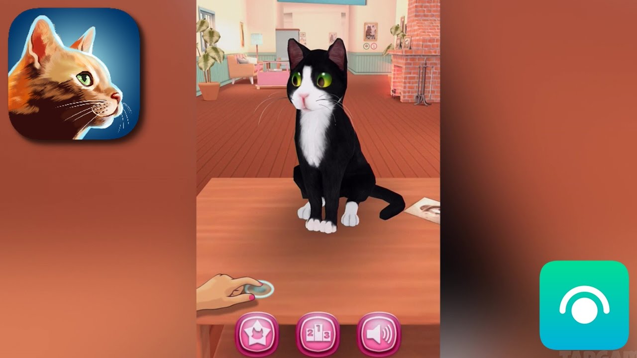 Игра кошка ответы. Кэт сим игра. Кэт геймплей. Daily Cat игра. Старая игра на телефон Cat SIM.