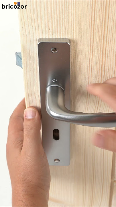 Poignée de porte inox fixation 165 - THOUMYRE