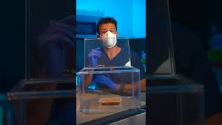 Megi Of The Box In The 10 Day