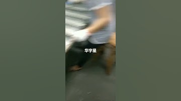 LED full color various products #point light source manufacturer #grid screen manufacturer #12 years