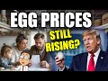 Understanding Egg Price Increases