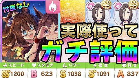 あわだぬきチャンネル 阿波路ひろ Youtube