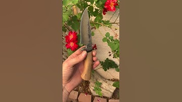 Brute de Forge EDC Knife #shorts