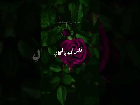 والقلب وما يهوى كم تأنسه الشكوى