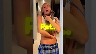 If You Have A Pet Youve Done This