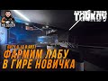 ESCAPE FROM TARKOV ● ФАРМИМ ЛАБУ В ГИРЕ НОВИЧКА ● ТАРКОВ + РОЗЫГРЫШ ЛУТА