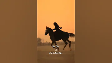 No Disc X Cheb Azzedine Dayek Ghir Nti Remix 2025 Weld Khali دايك غير نتي 