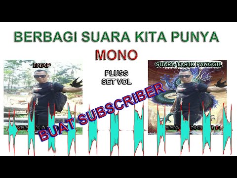 SP SI PRIBADI MONO SERTA SET VOL