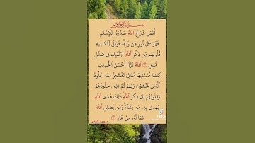 سورة الزمر بصوت يريح القلب ❤✨🤲