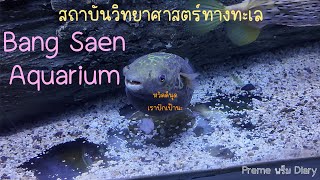 เที่ยวบางแสน อควาเรียม ดูปลาปักเป้ากัน | Bang Saen Aquarium Vlog