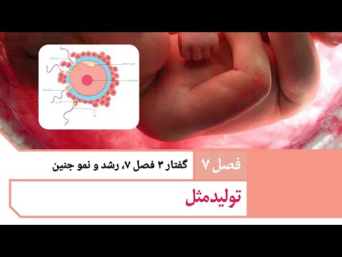 گفتار ۳ فصل ۷ رشد و نمو جنین