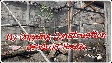 Swiftlet Farming in Philippines