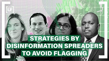 What strategies do disinformation spreaders use to avoid content being taken down or flagged?