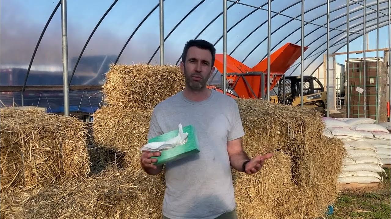 Can I Compost It? Tissues YouTube