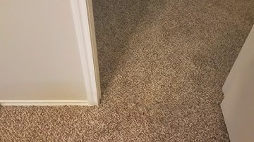 Cut loop berber carpet repair in door Austin Texas