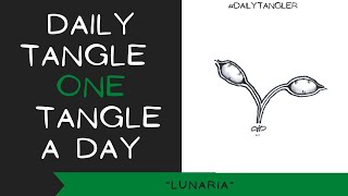 Daily Tangle - Pattern  Focus -  LUNARIA   | How to draw | #DailyTangler