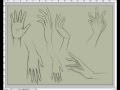 تعلم رسم يد من الامام والخلف-How to draw hands, step by step front and back