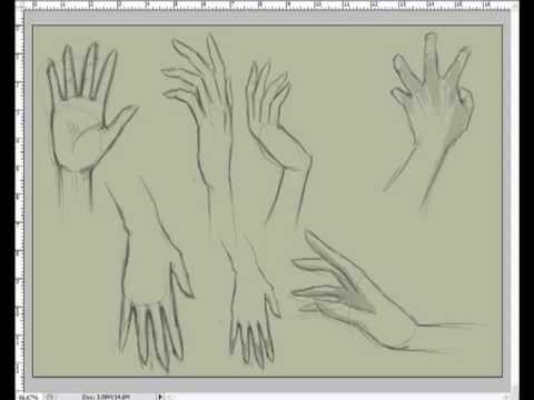 تعلم رسم يد من الامام والخلف-How to draw hands, step by step front and back