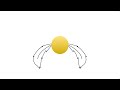 Wave principle animation practise - Snitch