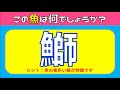 【魚の漢字読み方クイズ全15問】簡単編!高齢者にオススメの問題を紹介【面白い&脳トレ】