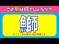 【魚の漢字読み方クイズ全15問】簡単編！高齢者にオススメの問題を紹介【面白い&脳トレ】