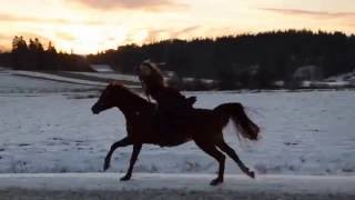 Enjoying horseback archery!