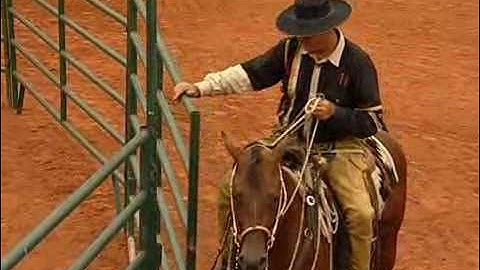 Opening and Closing Gates with horse trainer Pat Hooks